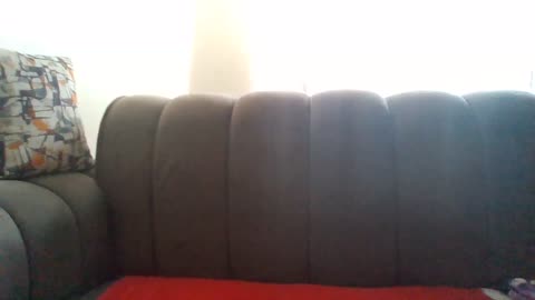 petitedivah24 (BongaCams): nuotraukos, profilis