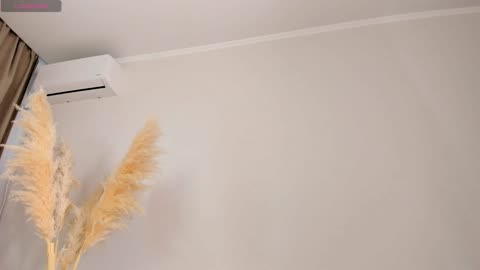 anzukim, μοντέλο webcam στο BongaCams
