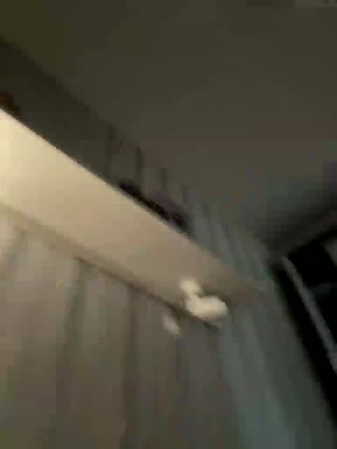Фото вебкам-модели dream022 на BongaCams