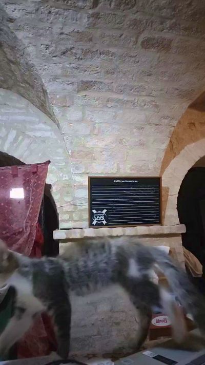 cerbero31, μοντέλο webcam στο Cam4