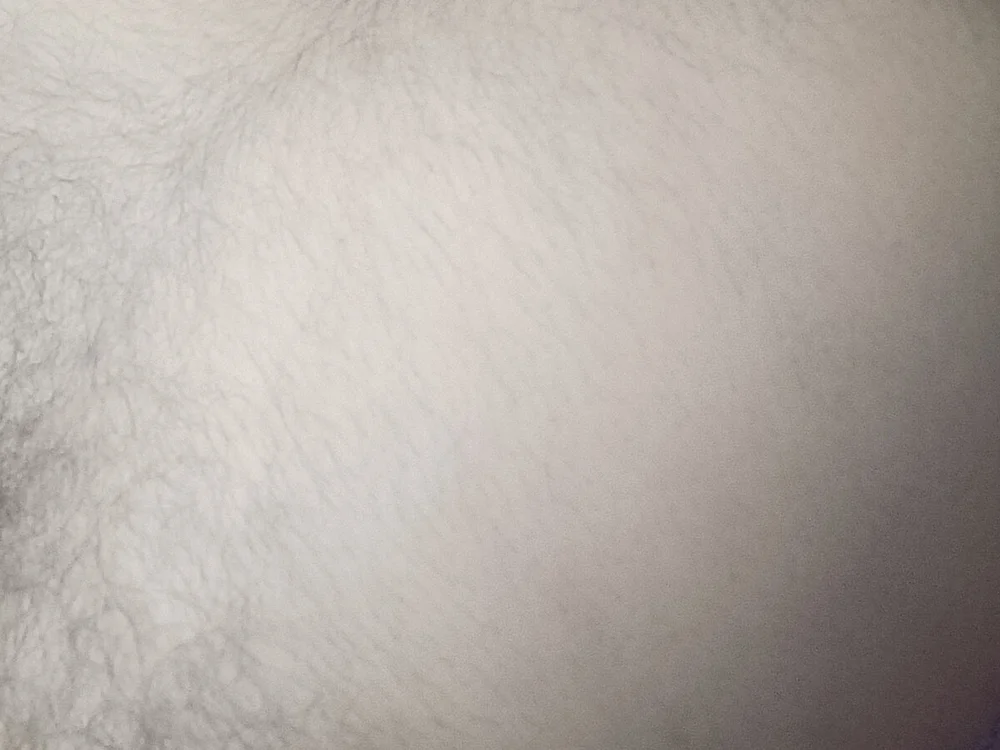 Subhajit12Jana23, modèle webcam Stripchat : photos