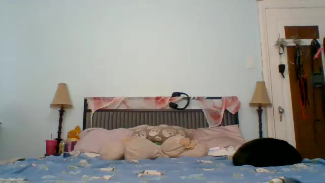 charlotteblair, model webcam de Chaturbate: fotos