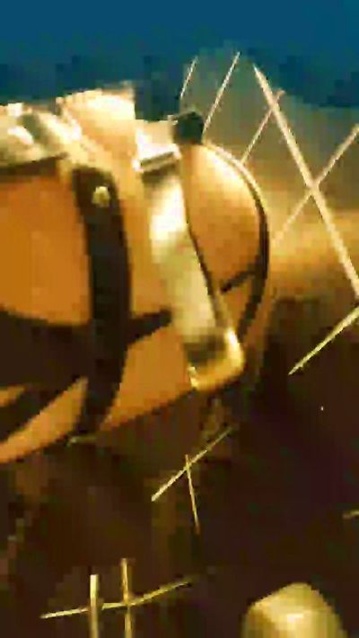 italianbros4, webcammodel på Cam4: fotos