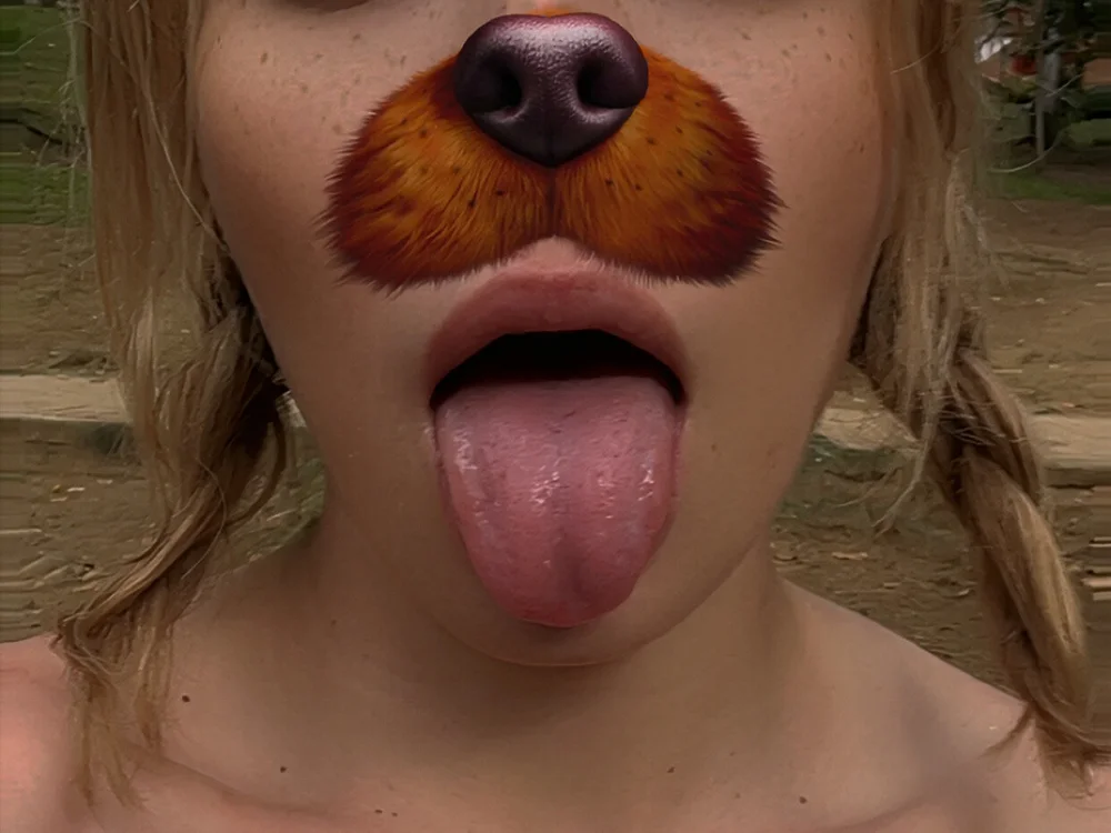Preview photo of webcam model whitesexybitch44 on Stripchat