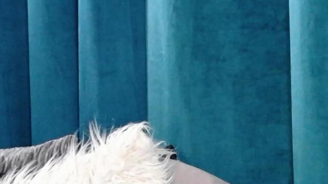robin-gallagher – Webcam-Modell auf Flirt4Free
