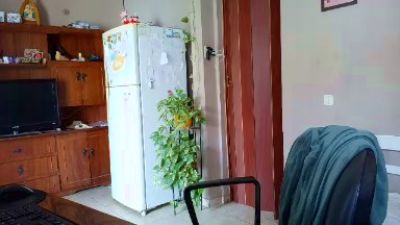 gringodelicius (Cam4): fotod ja profiil