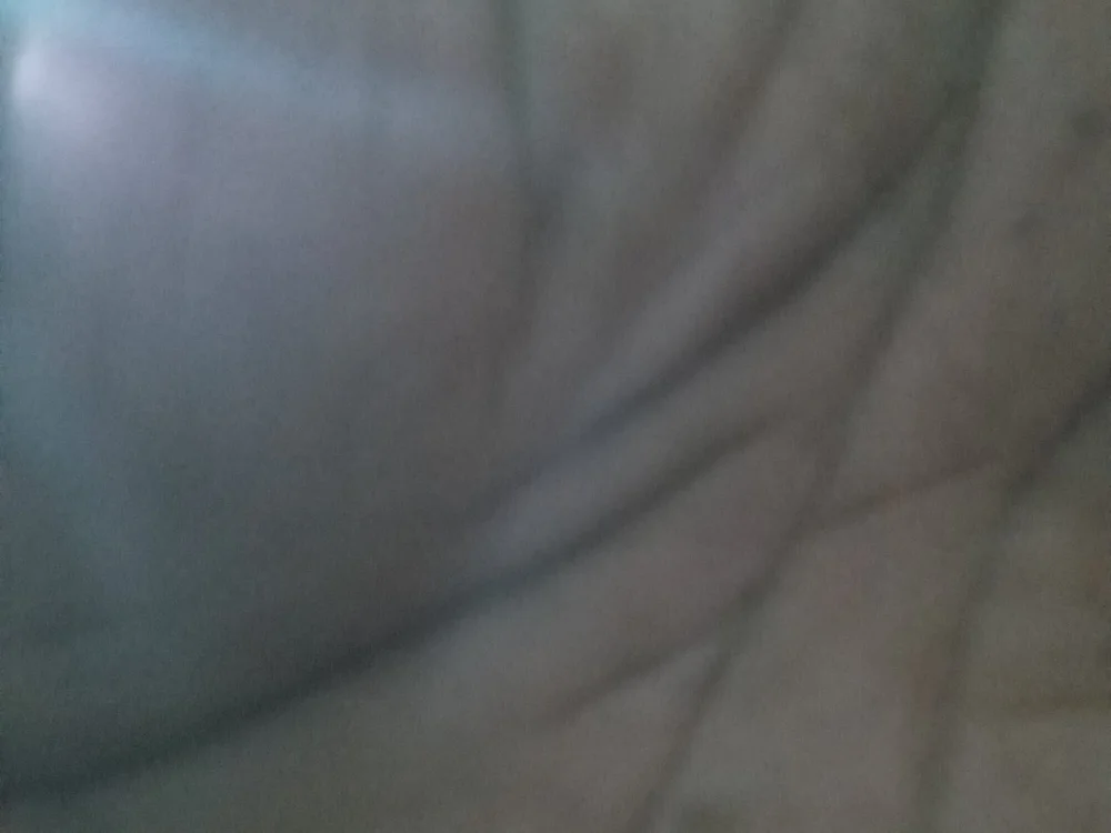 black77SL, model webcam de Stripchat: fotos