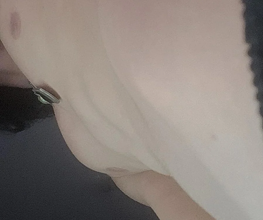 kairozz — Stripchat 直播模特：照片与资料