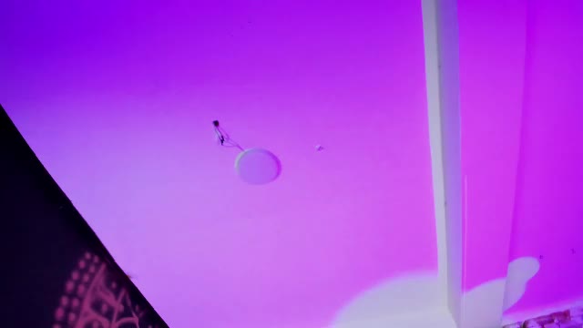 ivy_rowan, webcammodel på Chaturbate: fotos