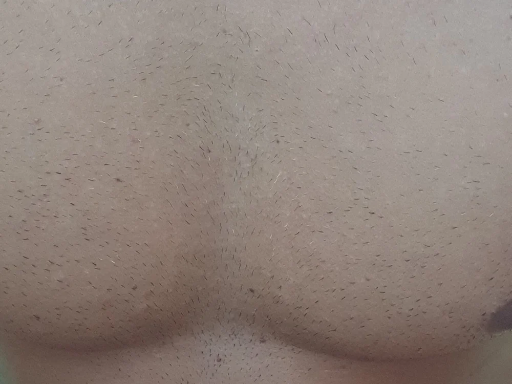 casalexibicao23 – Webcam-Modell auf Stripchat