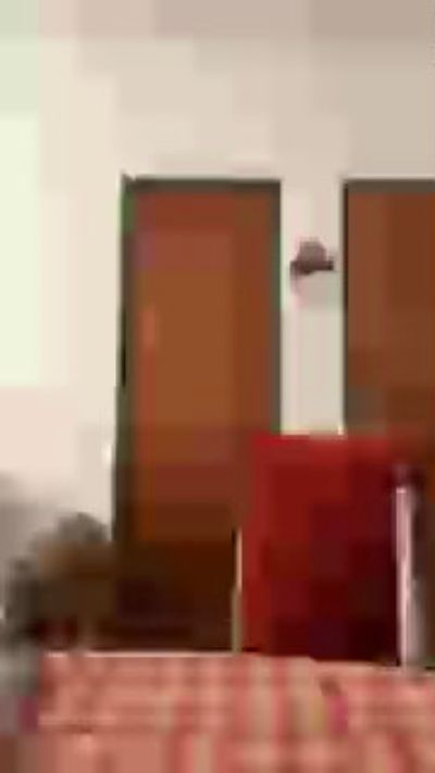 demoniijoaquin4, μοντέλο webcam στο Cam4