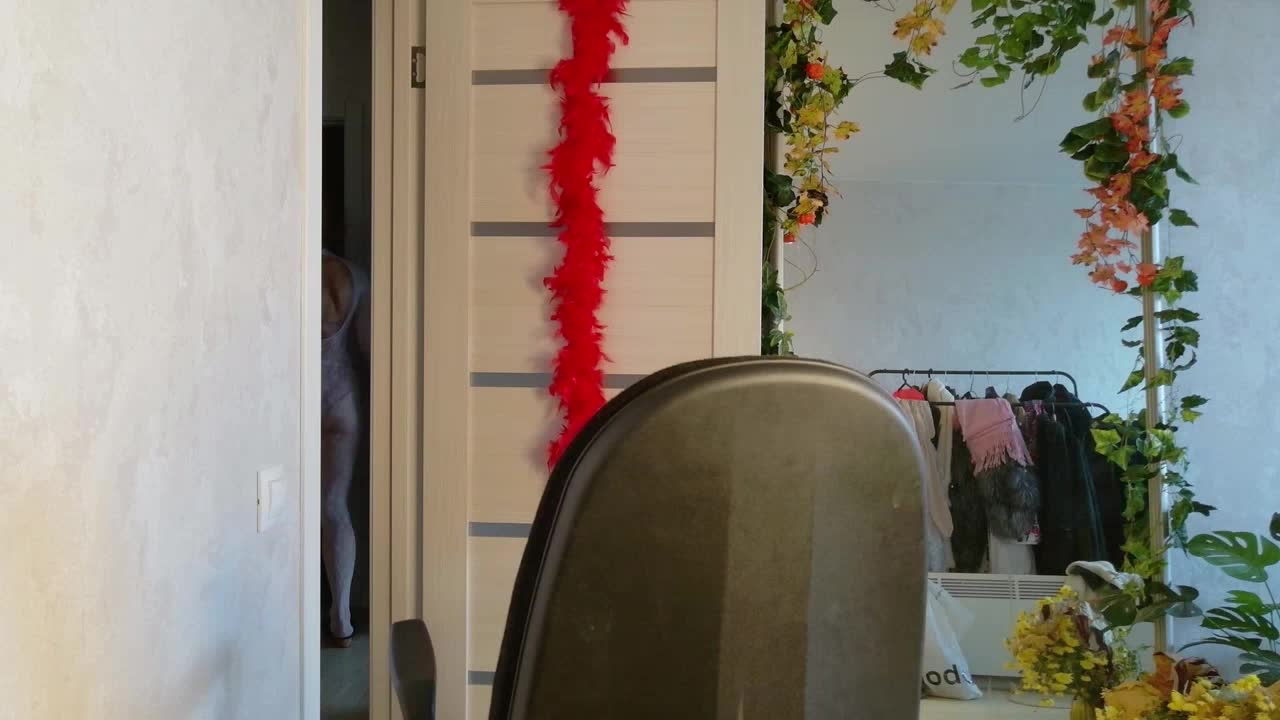 lioraweiss – XloveCam webkamerás modell