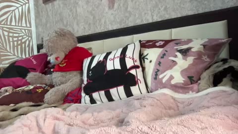 queenli483, webcammodell på BongaCams: bilder