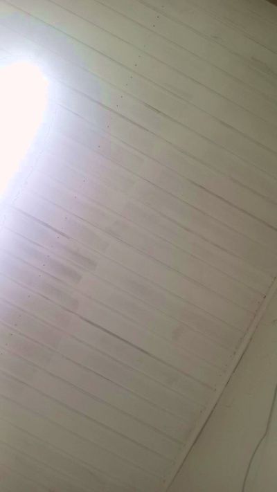 brazilnovo na Cam4: zdjęcia i profil