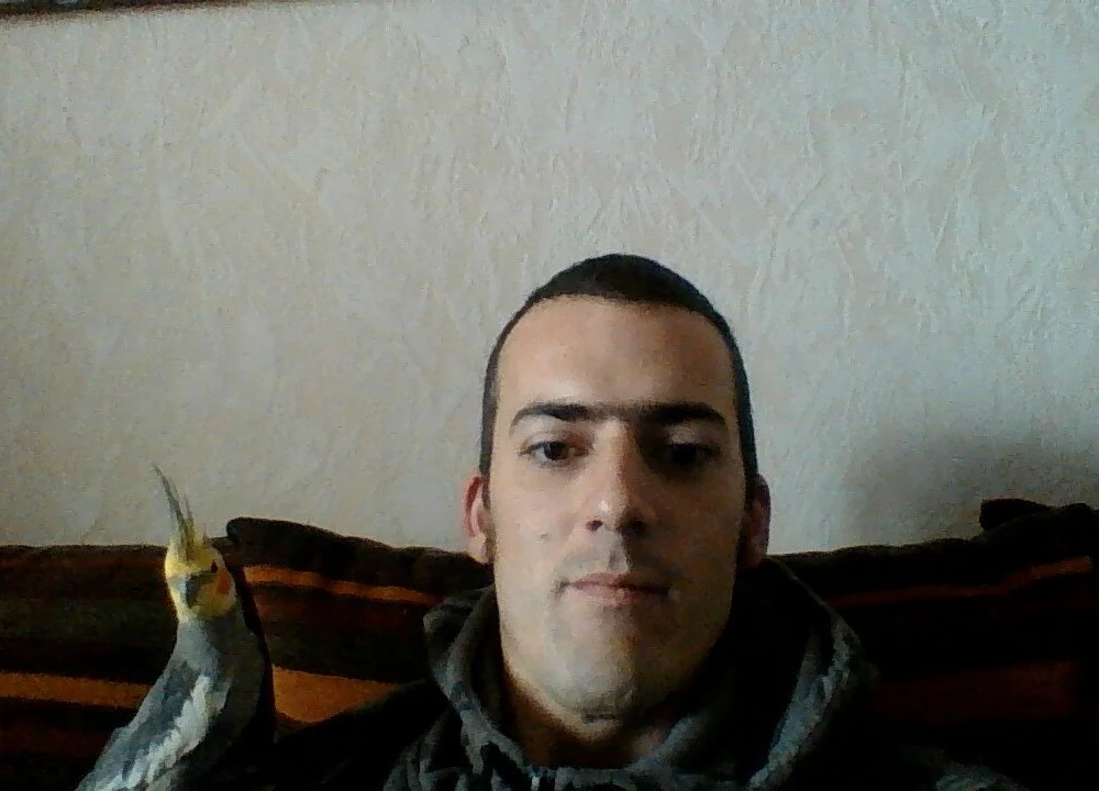 Groggyreboundsonav, μοντέλο webcam στο Stripchat