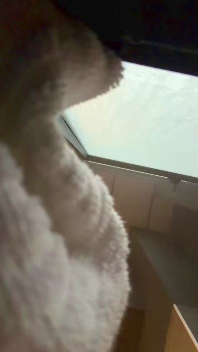 scl3dh41r1, webcammodel på Cam4: fotos