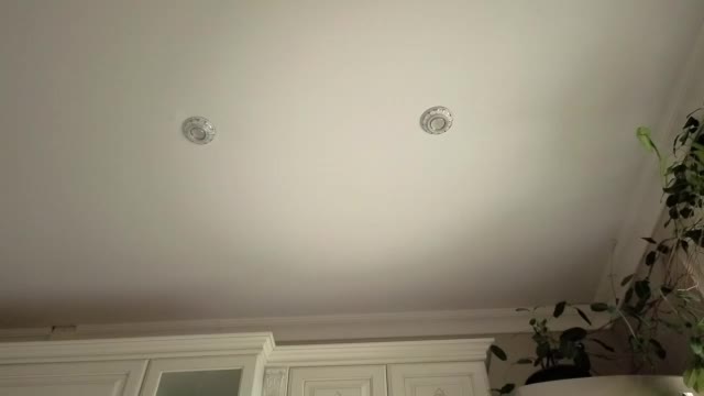 wonderland_stia, webcam-malli (Chaturbate): kuvat