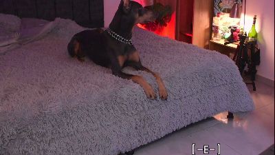 demonkushx – Webcam-Modell auf Cam4
