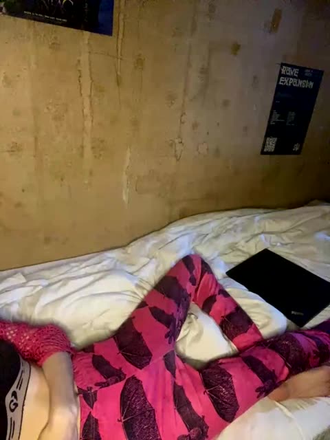 kristifox, model webcam de BongaCams: fotos