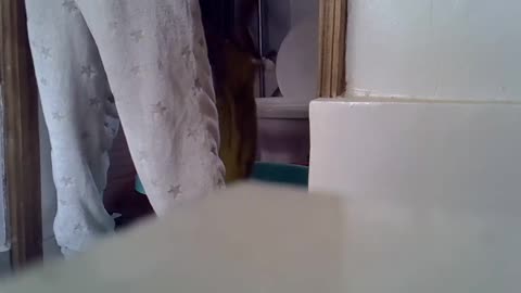 sumeyhia — BongaCams वेबकैम मॉडल: फ़ोटो