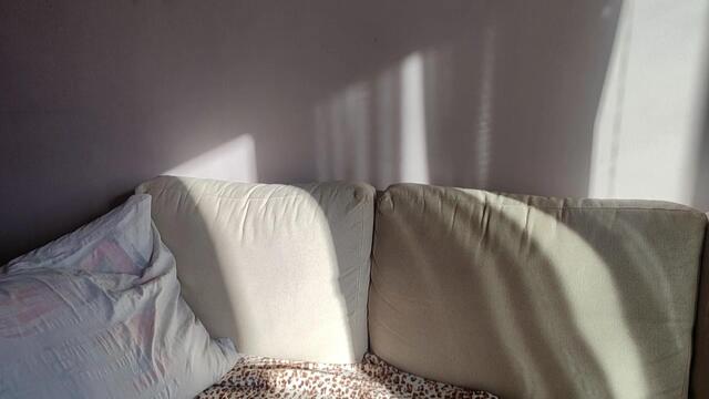 karo-cute (Flirt4Free): nuotraukos, profilis