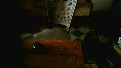 guerrero_xxx di Cam4: foto model webcam