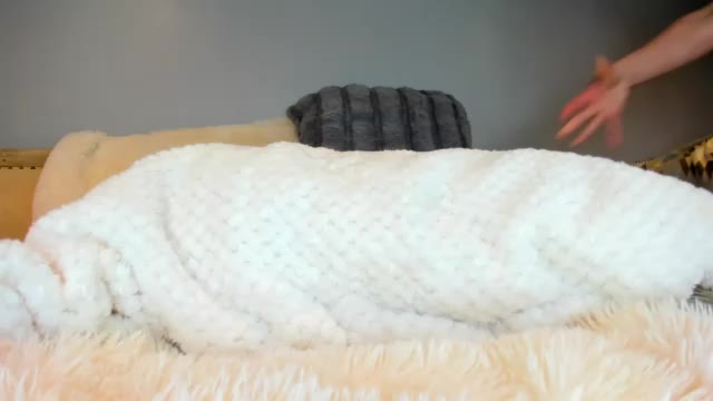 eatmygingersnapps, webcammodell på Chaturbate: bilder