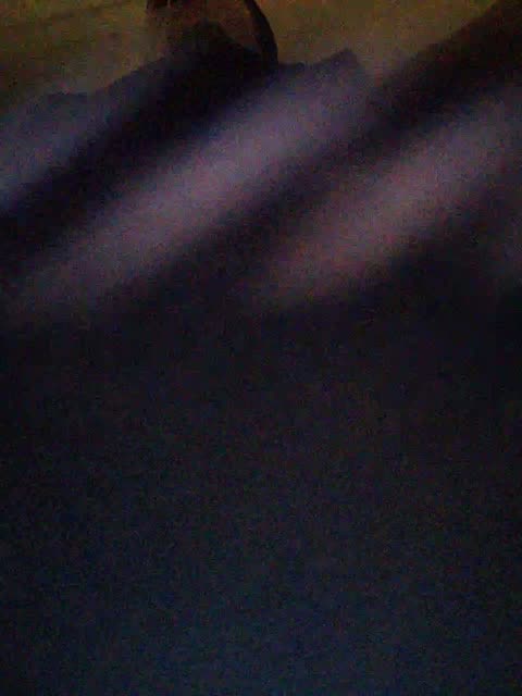 sertseetka, model webcam de BongaCams: fotos
