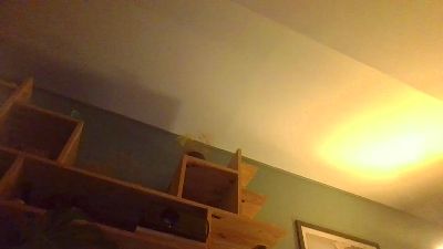 melonme (Cam4): nuotraukos, profilis