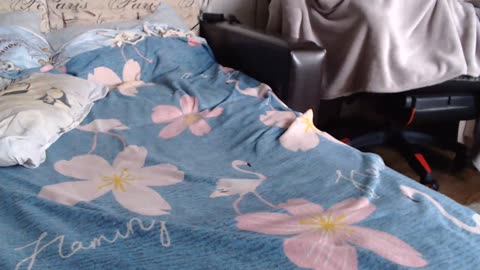 gospohaxxx, webcammodell på BongaCams: bilder