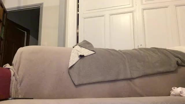 maximemax14 — Chaturbate वेबकैम मॉडल: फ़ोटो