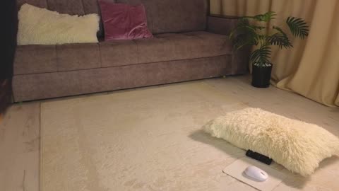 lilu5107, modelo webcam de BongaCams: fotos