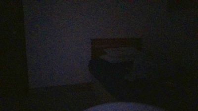 fox9222 di Cam4: foto model webcam
