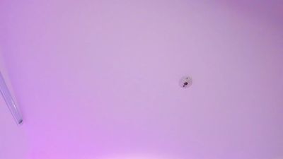 katt_lover ב-Cam4: תמונות ופרופיל