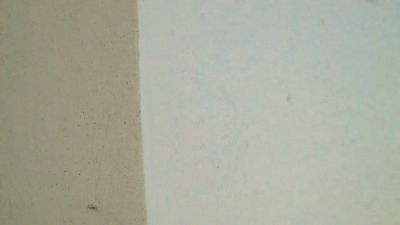 birbikrom na Cam4: fotky a profil