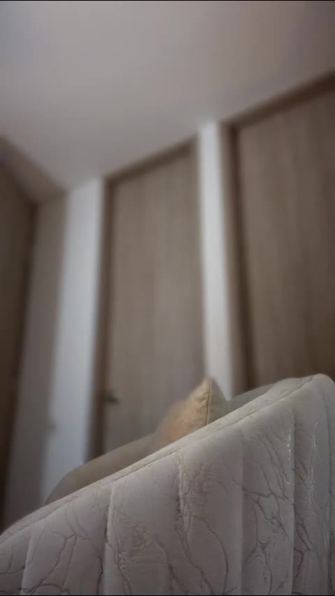 crischelnovaks – LiveJasmin webkamerás modell