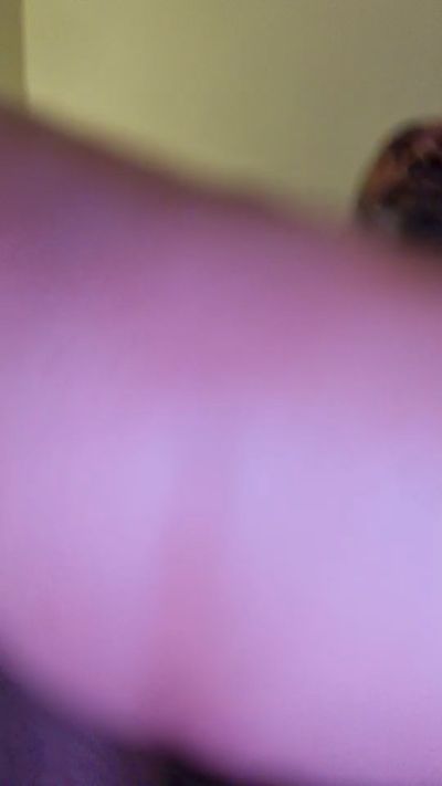 Preview photo of webcam model panterpanter69 on Cam4