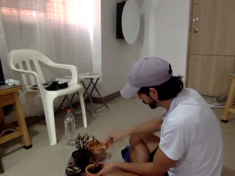 amadordavidm – BongaCams webkamerás modell